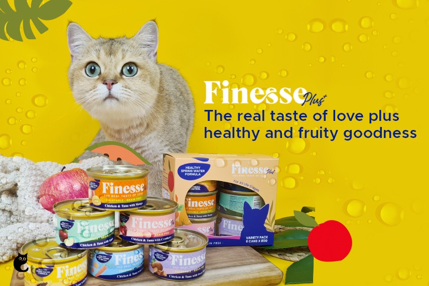 Cater To Your Cat's Specific Health Concerns With The All-New Finesse Plus+